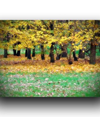 ga241015-senza-titolo