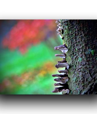 ga241016-senza-titolo