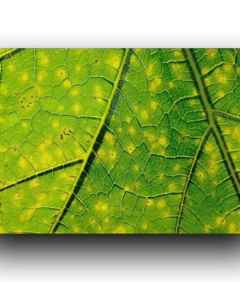 ga241017-senza-titolo