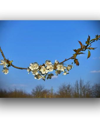 ga241030-senza-titolo