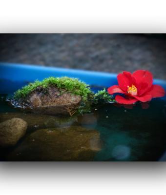 ga241042-senza-titolo