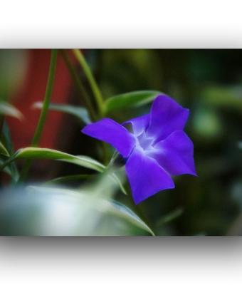 ga241425-senza-titolo