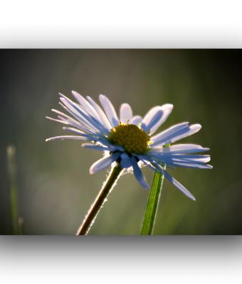 ga241521-senza-titolo