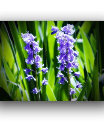 ga241523-senza-titolo