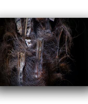 ga241524-senza-titolo