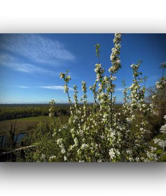 ga241528-senza-titolo