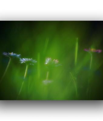 ga241601-senza-titolo