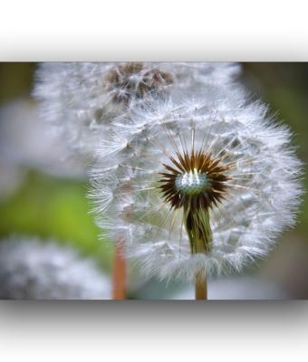 ga241602-senza-titolo