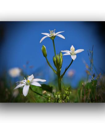 ga241603-senza-titolo