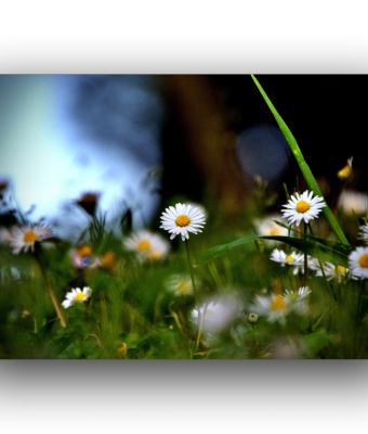 ga241730-senza-titolo