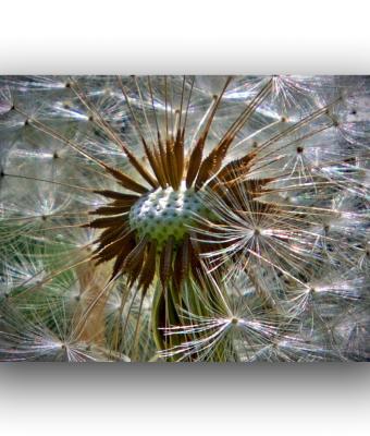 ga241731-senza-titolo