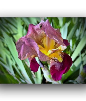 ga242076-senza-titolo