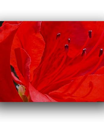 ga242080-senza-titolo