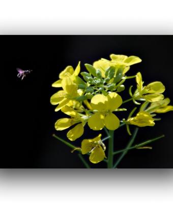 ga242222-senza-titolo