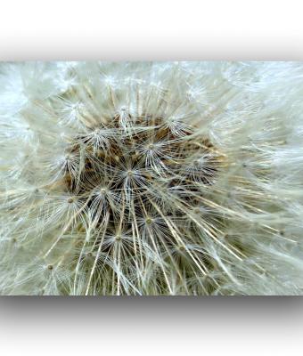 ga242223-senza-titolo