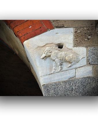 ga242224-senza-titolo