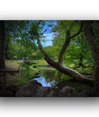 ga242384-senza-titolo