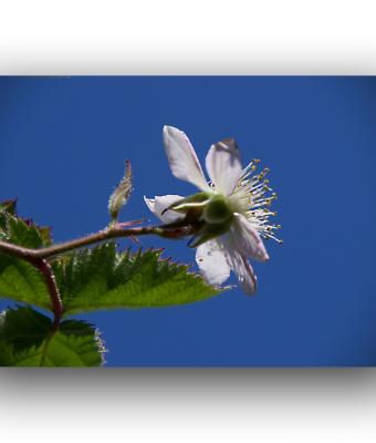 ga243494-senza-titolo