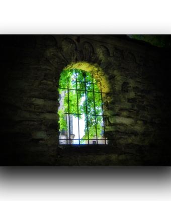 ga245677-senza-titolo