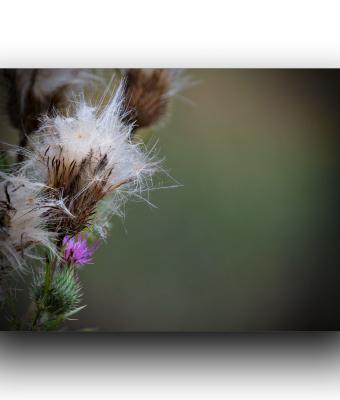 ga245762-senza-titolo