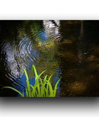 l-eco-dell-acqua-tutto-vib
