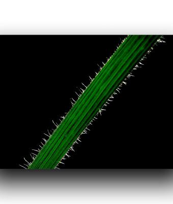 ga245859-senza-titolo