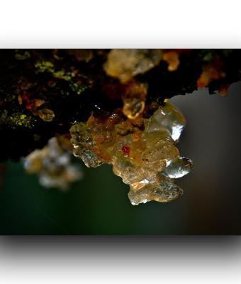 ga245938-senza-titolo