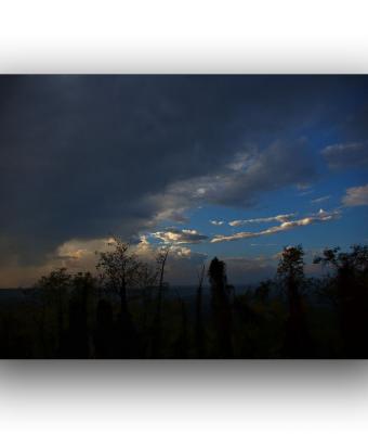 ga245982-senza-titolo