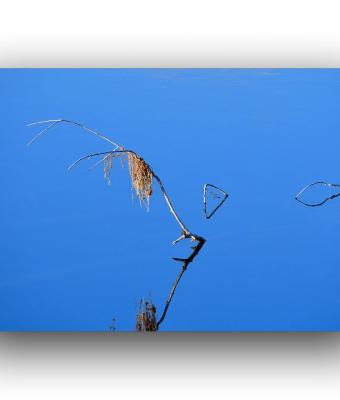 ga245983-senza-titolo