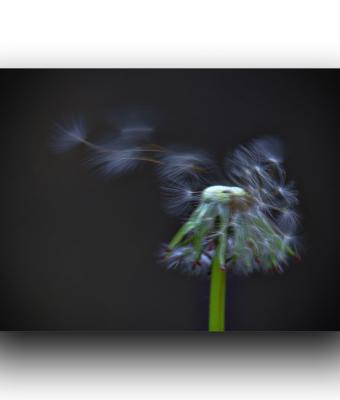 ga246125-senza-titolo
