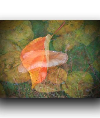 oltre-il-riflesso-dove-finisc
