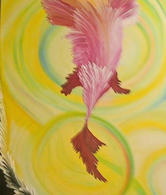 dove-il-buio-diventa-luce