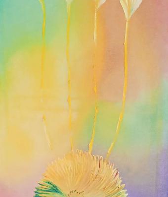 quando-il-colore-imparo-a-rid