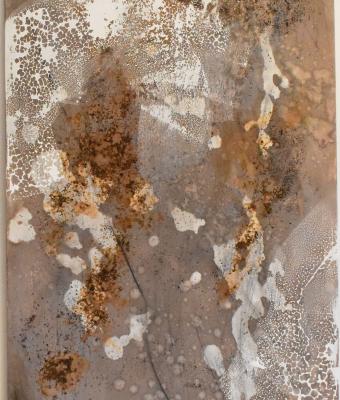 canto-della-superficie