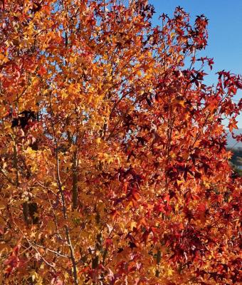 ga235193-senza-titolo