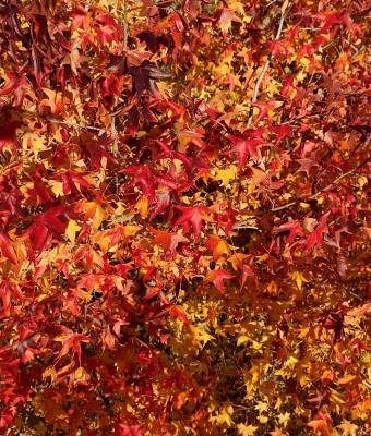 ga235194-senza-titolo