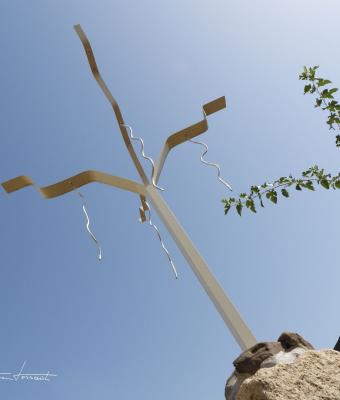 albero
