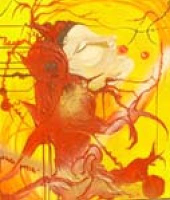 condivisine-di-sapori-in-b