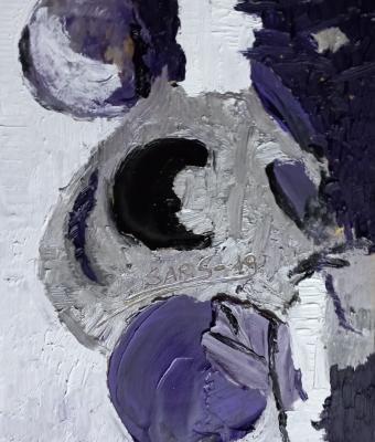 scende-la-notte-sars19