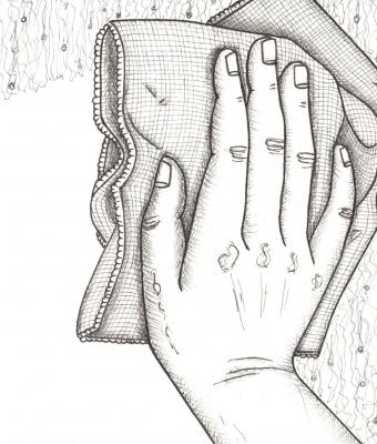 la-donna-delle-pulizie