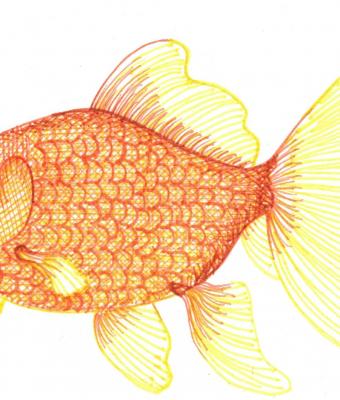 pesce