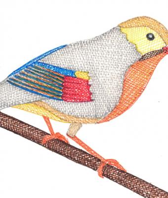 uccello