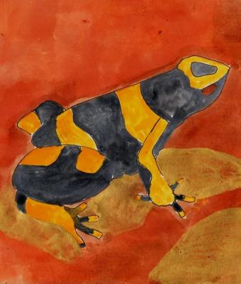 rana-velenosa