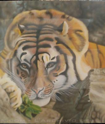 eyes-in-the-wilderness