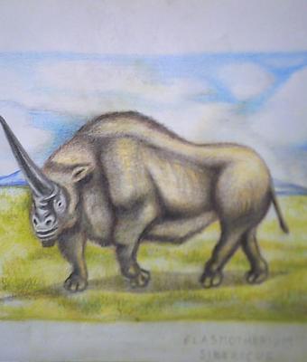 elasmotherium-sibericum