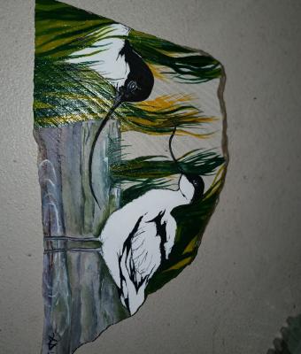 avocette