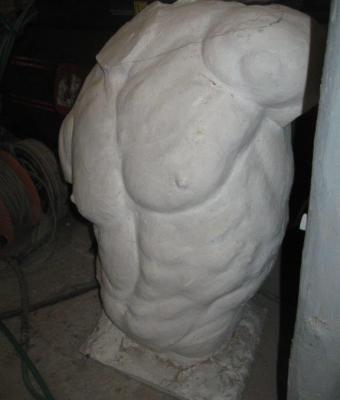 torso-maschile