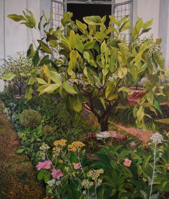 orangerie-del-giardino-di-bobo