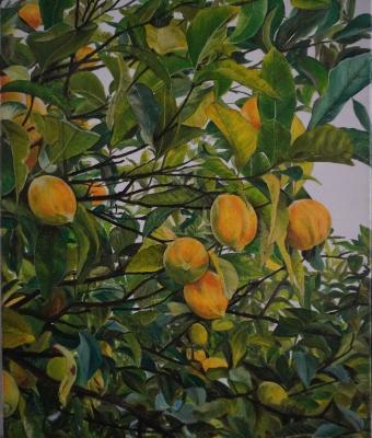 giallo-sul-verde-albero-di-l