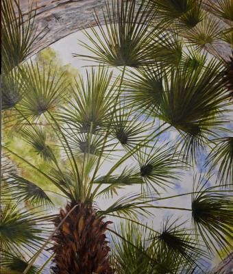 punto-di-vista-con-palme